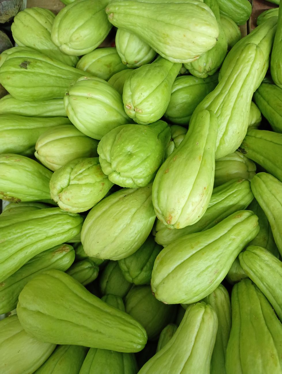 Pickled Choko